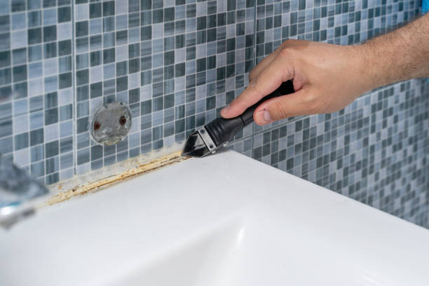 Best Mold Cleaning Services  in Rockwell City, IA
